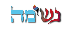 תמונת הסופר/ת: אודל לב טהור