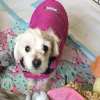 Writer: enviforanimals247